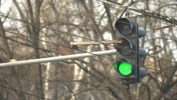 Traffic Light on the Road Regulates Traffic