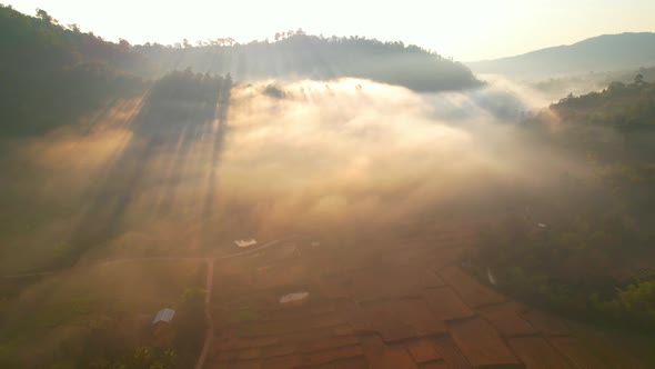 Aerial view from a drone over misty landscape on farmland. 4K