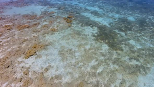 White Sandy Coral Reef in the Clear Turquoise Light Blue Sea of the Tropical Coastline