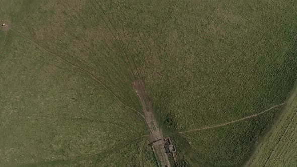 Aerial top down over the western gate ramparts of the iron age hill fort, Maiden Castle. Sheep can b