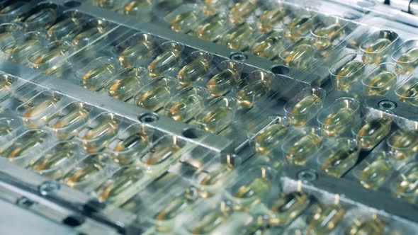 Medication Production Line at a Pharmaceutical Facility. Capsules in Packs Move on a Conveyor