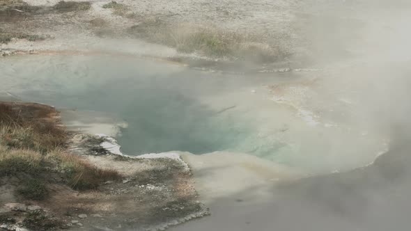 Hot spring in Yellowstone National Park