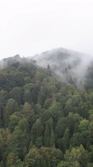 Carpathian Mountains