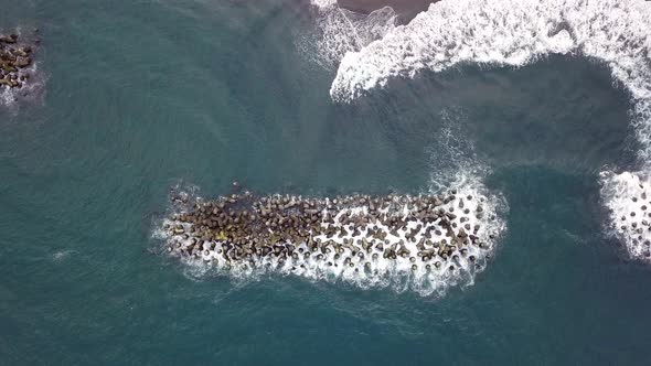 Aerial view of sea coast