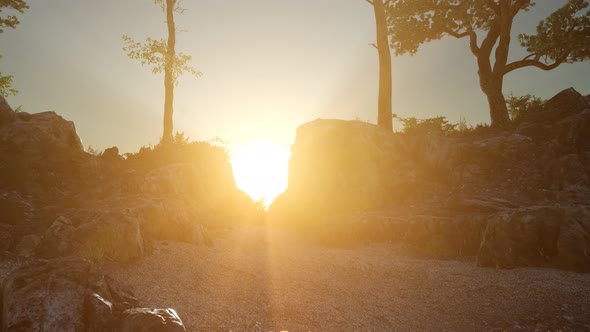 Trees on Rocks in Mountains