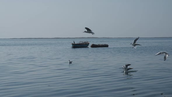 Fisher Boat