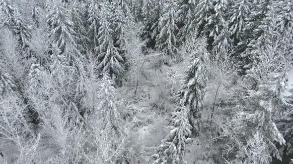 Ariel footage of snow covered landscapes.