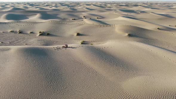 Elegant Moves in a Dance in the Desert By a Young Woman Rub Al Khali UAE