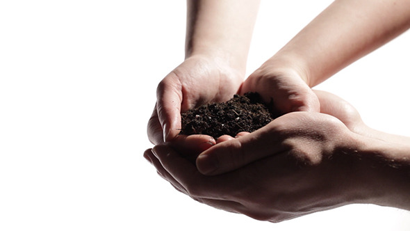 Man's Hands Support Woman's Hands Holding Soil
