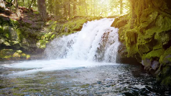 The beautiful White Horse Falls in Oregon, USA