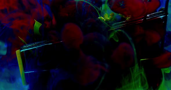 Bright Colorful Ink Splashes Are Dropping Down on the Flowers, Underwater, 