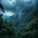 Rainforest Rain Storm