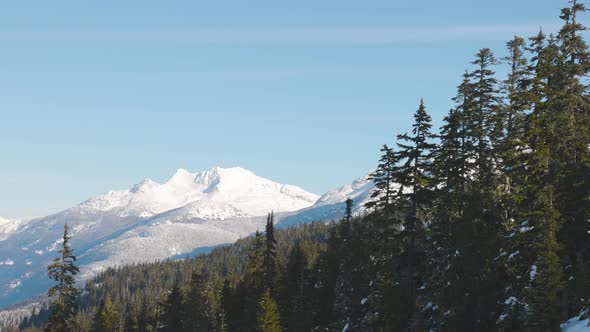 Snowy Forest on Top of the Mountains in Winter During Sunny Morning