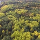 Summer Early Autumn in Forest Aerial Top View - VideoHive Item for Sale