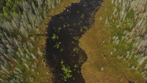 Early fall aerial footage of a remote lake in northern Maine tilting up to reveal a stream that empt