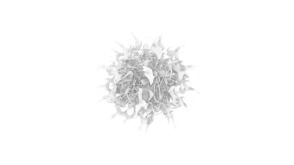 White Background  Motion Graphics Animated Background