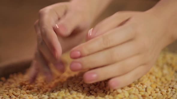 Female Cook's Hands Checking Peas Quality, Selecting Organic Food, Healthy Diet