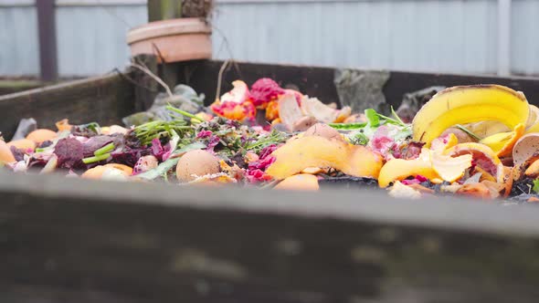 Separate Sorting of Organic Food Waste for Recycling in Horticulture and Farming