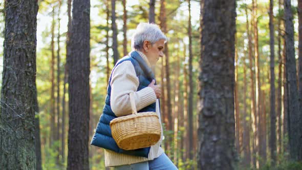 Senior Woman Picking Mushrooms in Autumn Forest