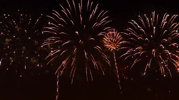 Colorful Fireworks Exploding in the Night Sky