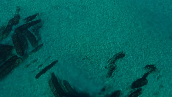 Aerial view of an artificial reef created to protect the coastline of a city