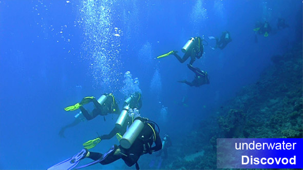 Group of Divers Swims Over Coral Reefs