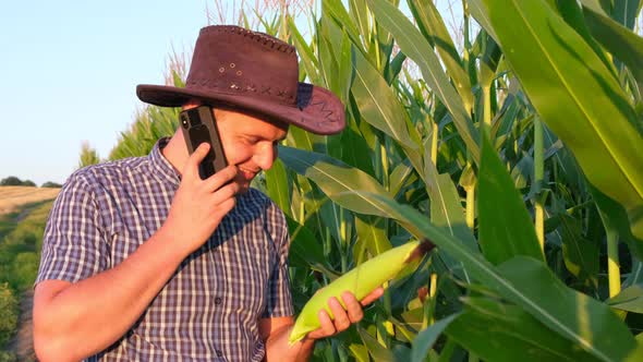 A Young Agronomist Inspects the Corn Crop Against the Backdrop of a Corn Field