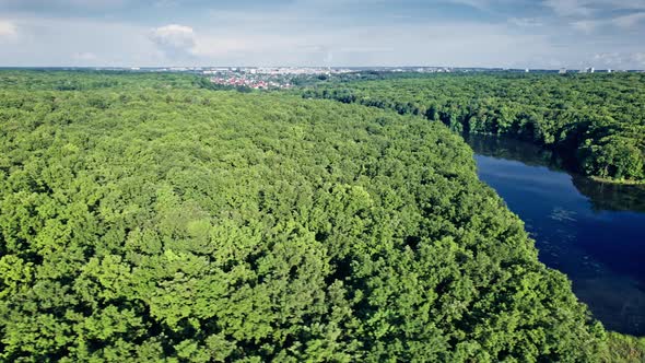 Aerial Flight Over Small Lake in the Forest