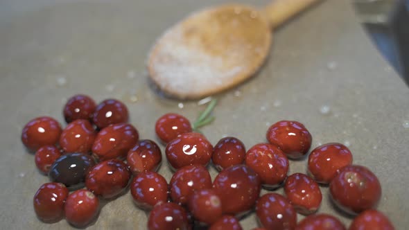 Slow motion macro close up pan down of fresh red cranberries, white sugar, and wooden spoon on tray