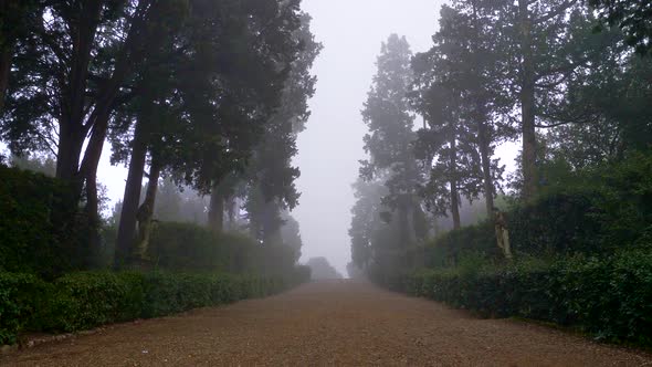 Camera Moving Along Misty Alley in Boboli Gardens. Florence, Italy