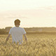 Men Running Through Wheat Field 4 - VideoHive Item for Sale