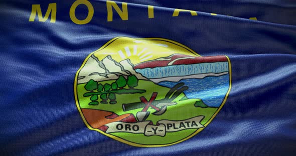 Montana waving flag 4K loop