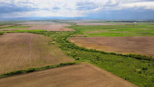 Aerial Landscape View of Yellow Cultivated Agricultural Field with Ripe Wheat on Bright Summer Day