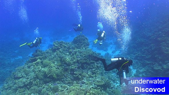 Group of Divers Swims Over Coral Reefs 2