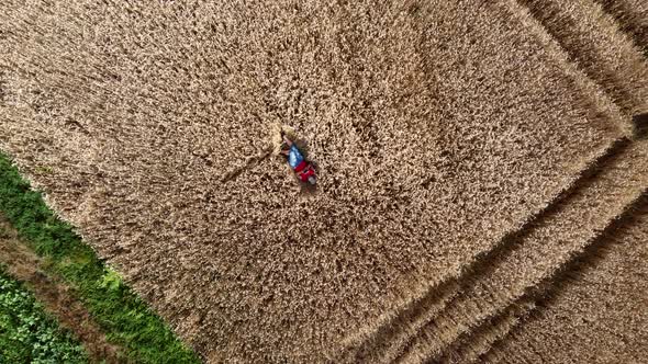 A Girl Lying on the Ground in a Wheat Field