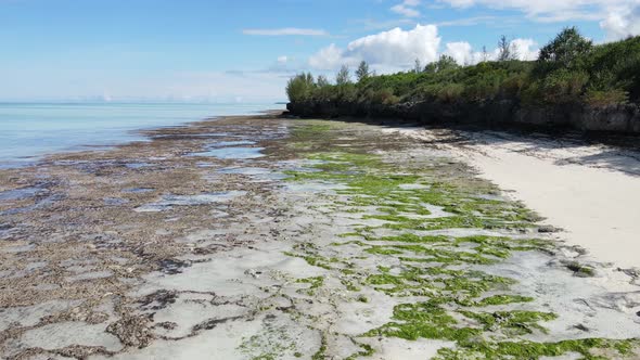 Shore of Zanzibar Island Tanzania at Low Tide