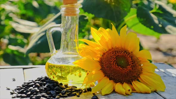 Sunflower Oil in the Field