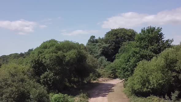 Drone footage ascending over the tree line of a beautiful countryside landscape.