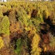 Autumn Forest on the Outskirts of the City Russia - VideoHive Item for Sale