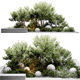 outdoor plants - 3DOcean Item for Sale
