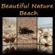 Beautiful Nature Beach - VideoHive Item for Sale