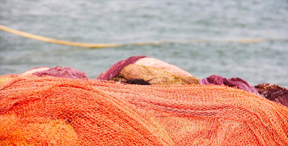 Fish Netting And Sea