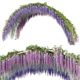 Arch with Wisteria - 3DOcean Item for Sale