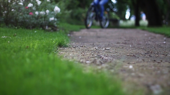 Riding a Bicycle in Rain Slow Motion