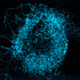 Particles Sphero Logo - VideoHive Item for Sale
