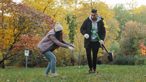 Young Couple Guy and Girl Ecoactivists Plant Tree in Park Engaged in Landscaping Forest Take Care of