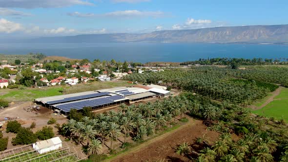 plantations surrounding the Sea of Galilee in Israel.