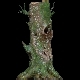 Dead Moss Tree Stump V2 - 3DOcean Item for Sale