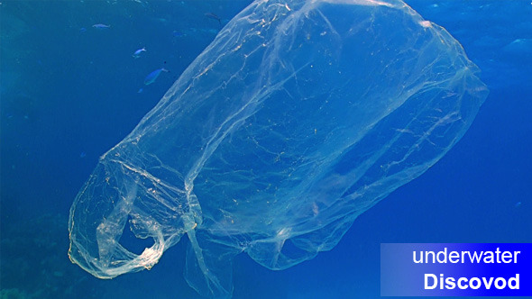 Plastic Bag Floating In Ocean 2
