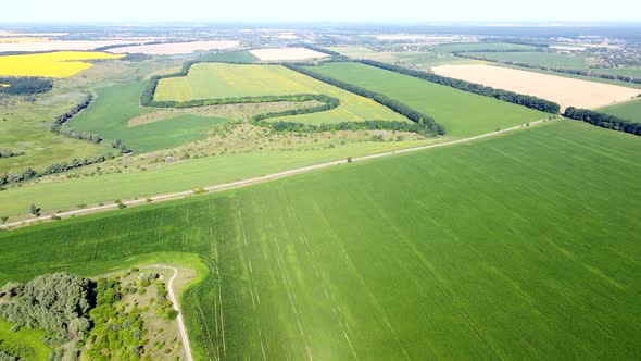 View of a Variety of Agroindustrial Fields with Different Agricultural Plants